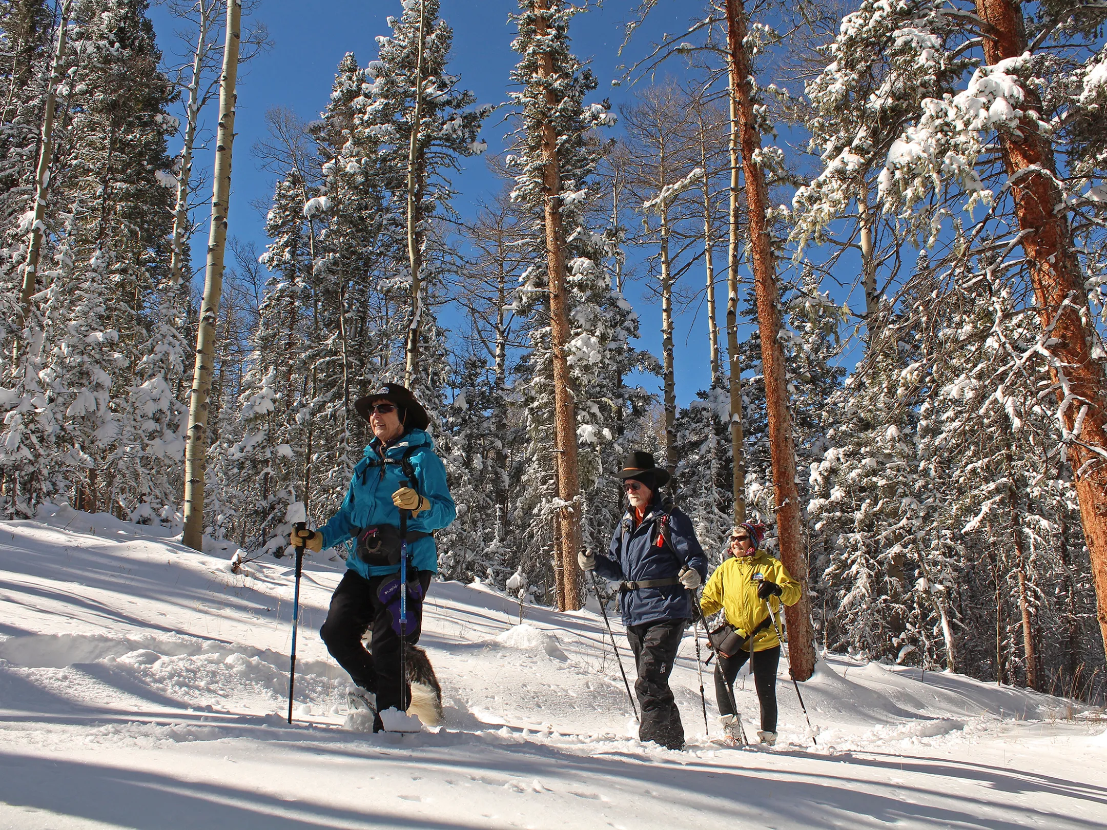 New Mexico Outdoor Adventures TripOutside